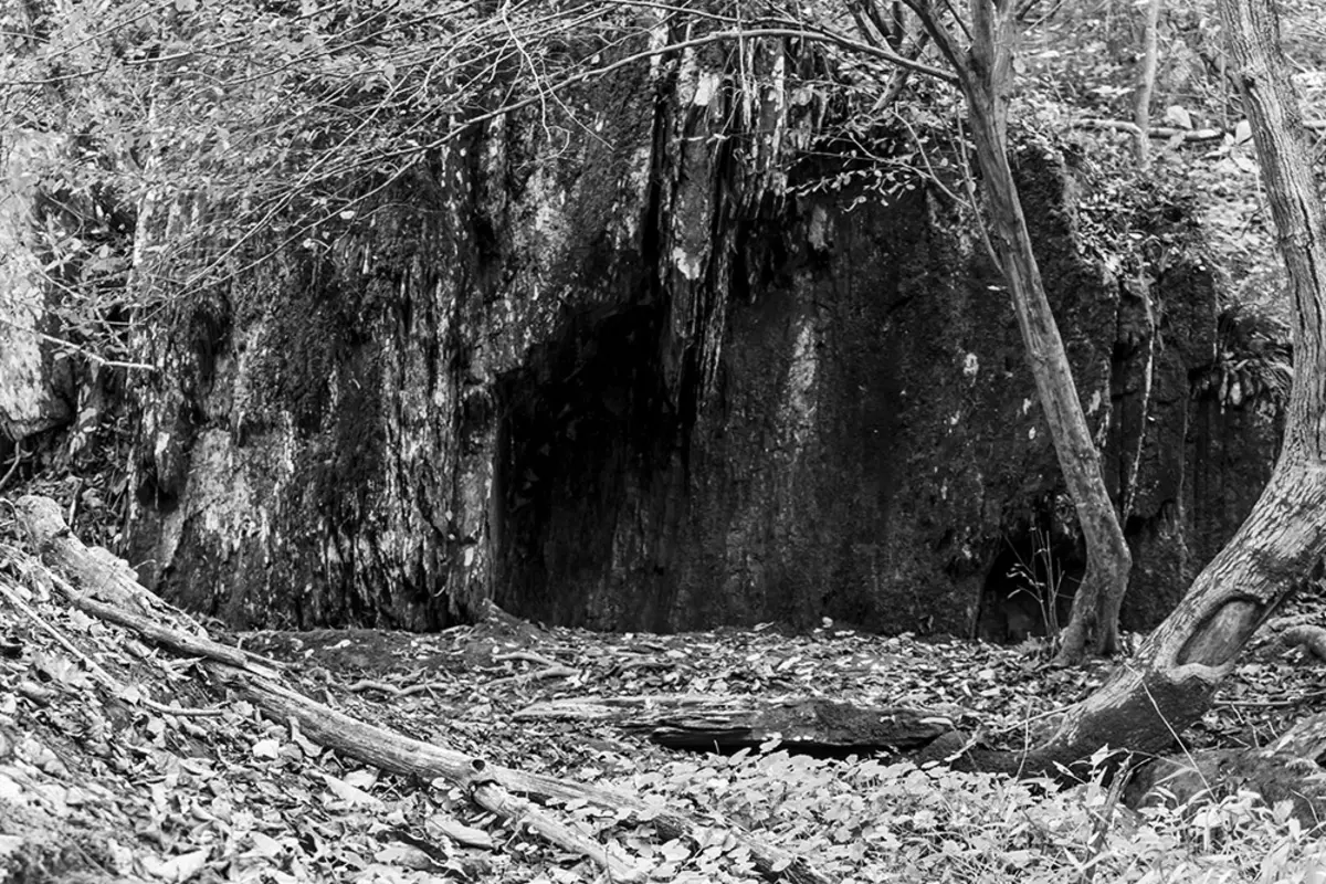 Dark cave opening in eerie forest clearing