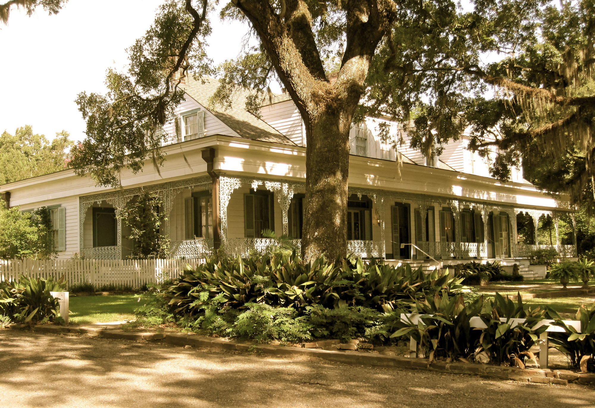 Sepia-toned Southern house with porch beneath large oak